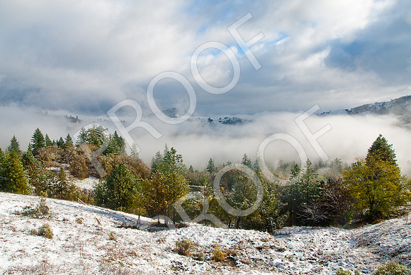 TC3_2618
