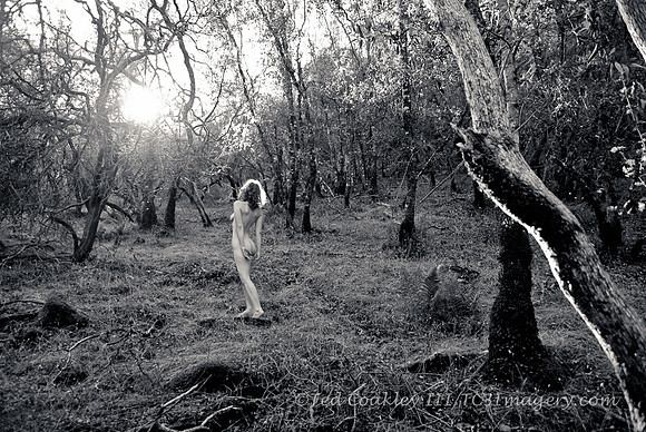 woodnymph_007