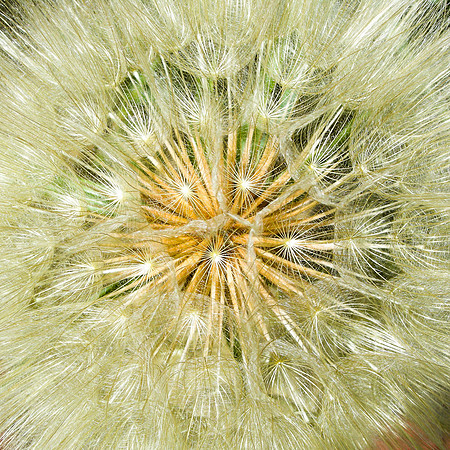 DSCN0128