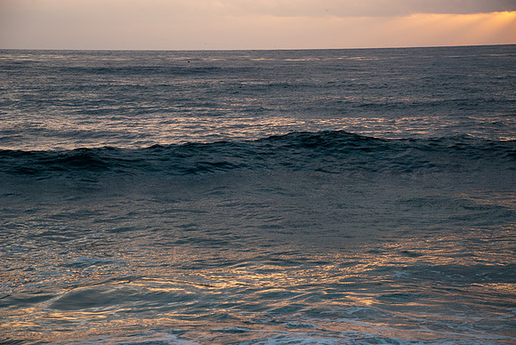 DSC_5520
