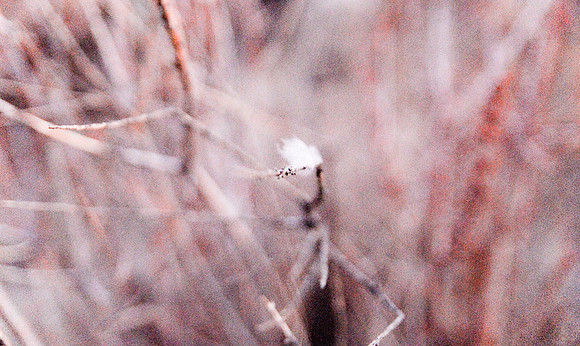 SW Road Trip-159