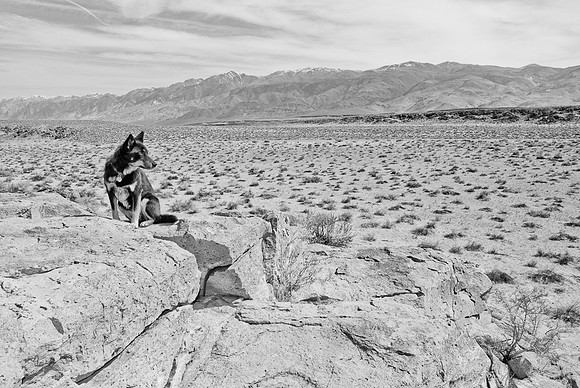 TC3_6178_b-w