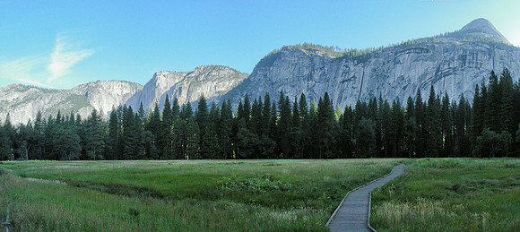 yosemite meadow-flat_cropped