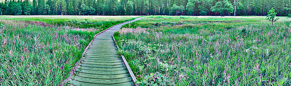 yosemite meadow2-flat