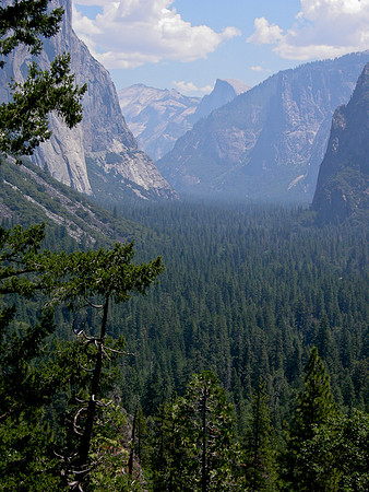 Yosemite2009-85