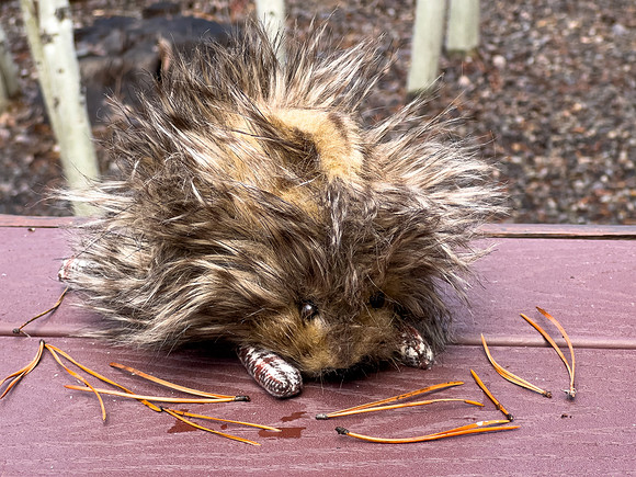 ScrappyCritters_Porky_10