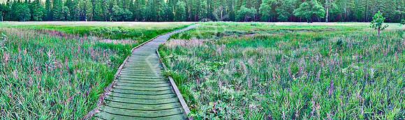 yosemite meadow2-flat