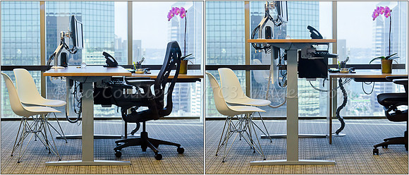ZHE_AlreenDesk_ProfileCropped_DownUp_LRExport