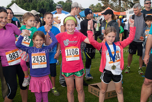 ResolutionRun_619