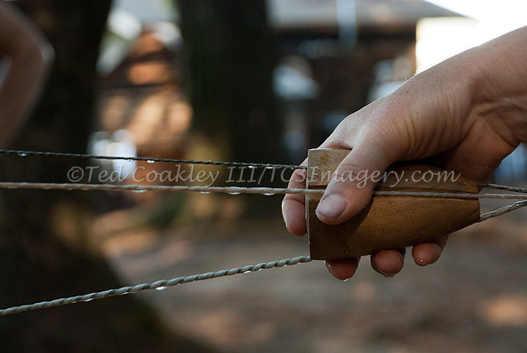 Buckeye2013_1174