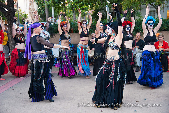 TC3_7753_watermarked