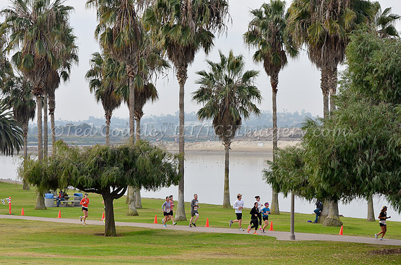 ResolutionRun_372