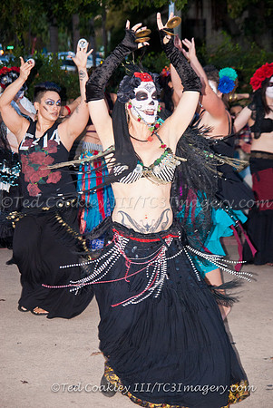 TC3_7775_watermarked