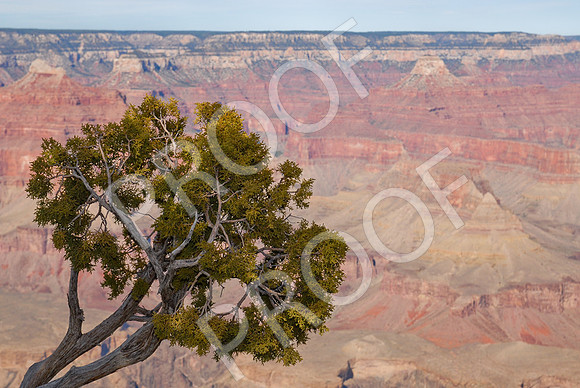 SW Road Trip-235