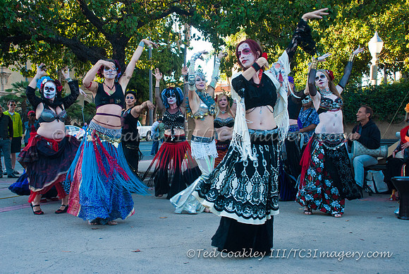 TC3_7653_watermarked