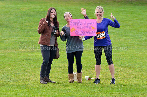 ResolutionRun_499