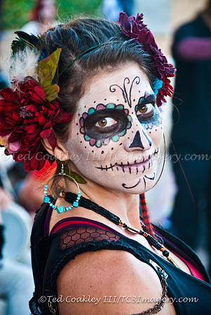 TC3_7704_watermarked