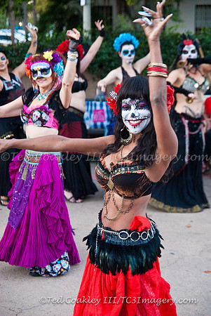 TC3_7741_watermarked