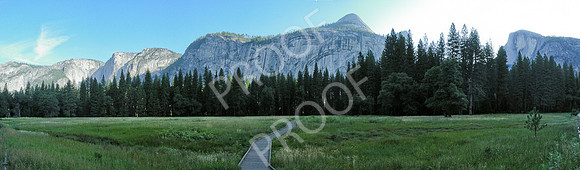 yosemite meadow-flat