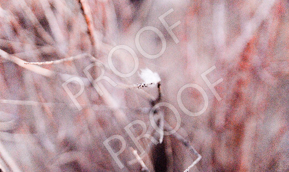 SW Road Trip-159