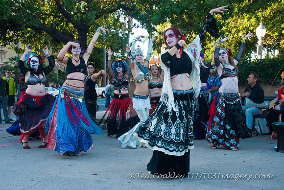 TC3_7653_watermarked