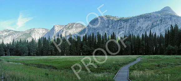 yosemite meadow-flat_cropped