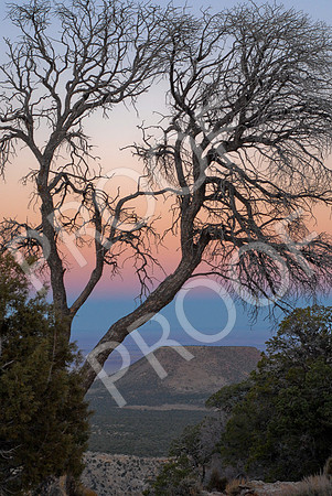 SW Road Trip-519