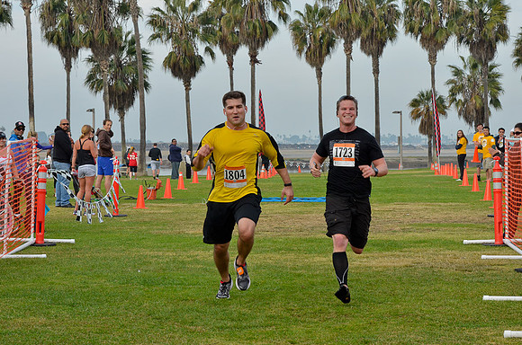 ResolutionRun_491