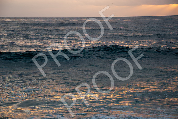 DSC_5520