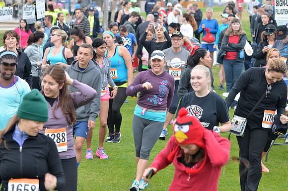ResolutionRun_133